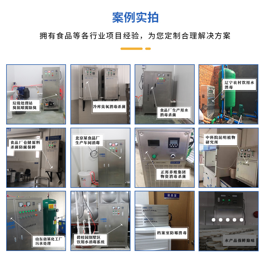 垃圾中转站用臭氧发生器