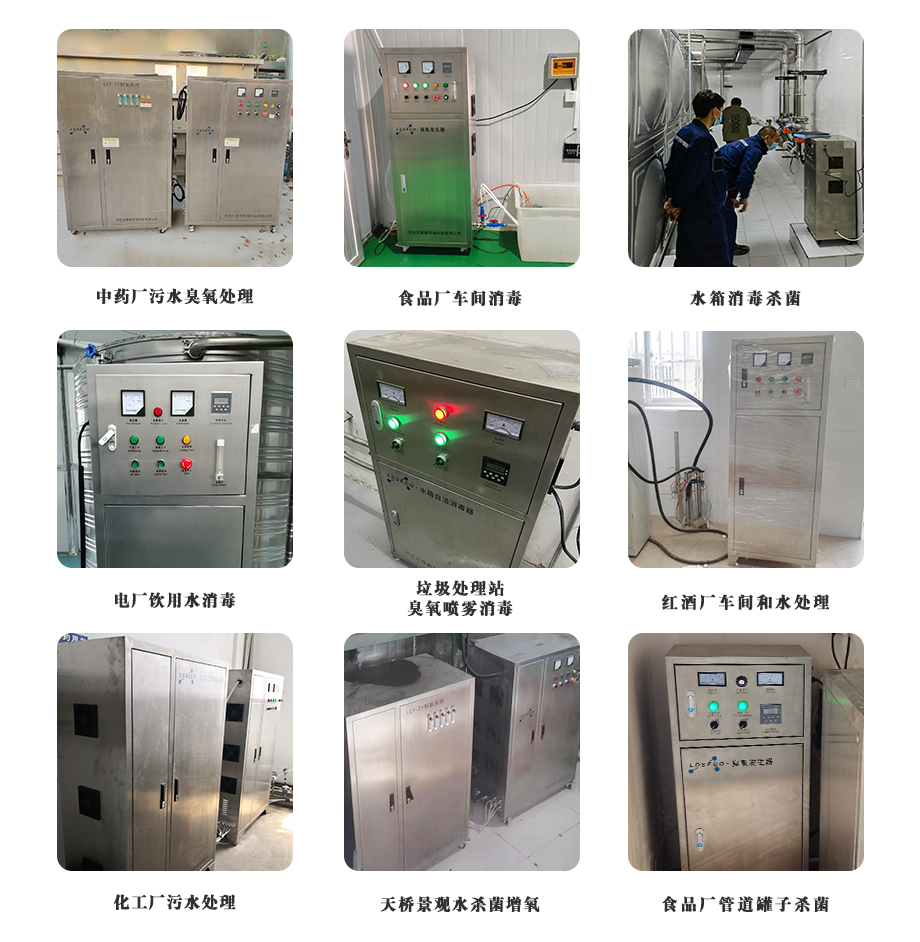 氧气源臭氧发生器案例