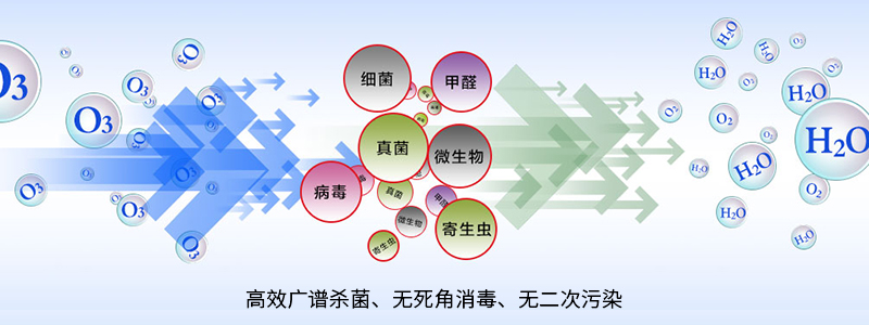 网站2.jpg