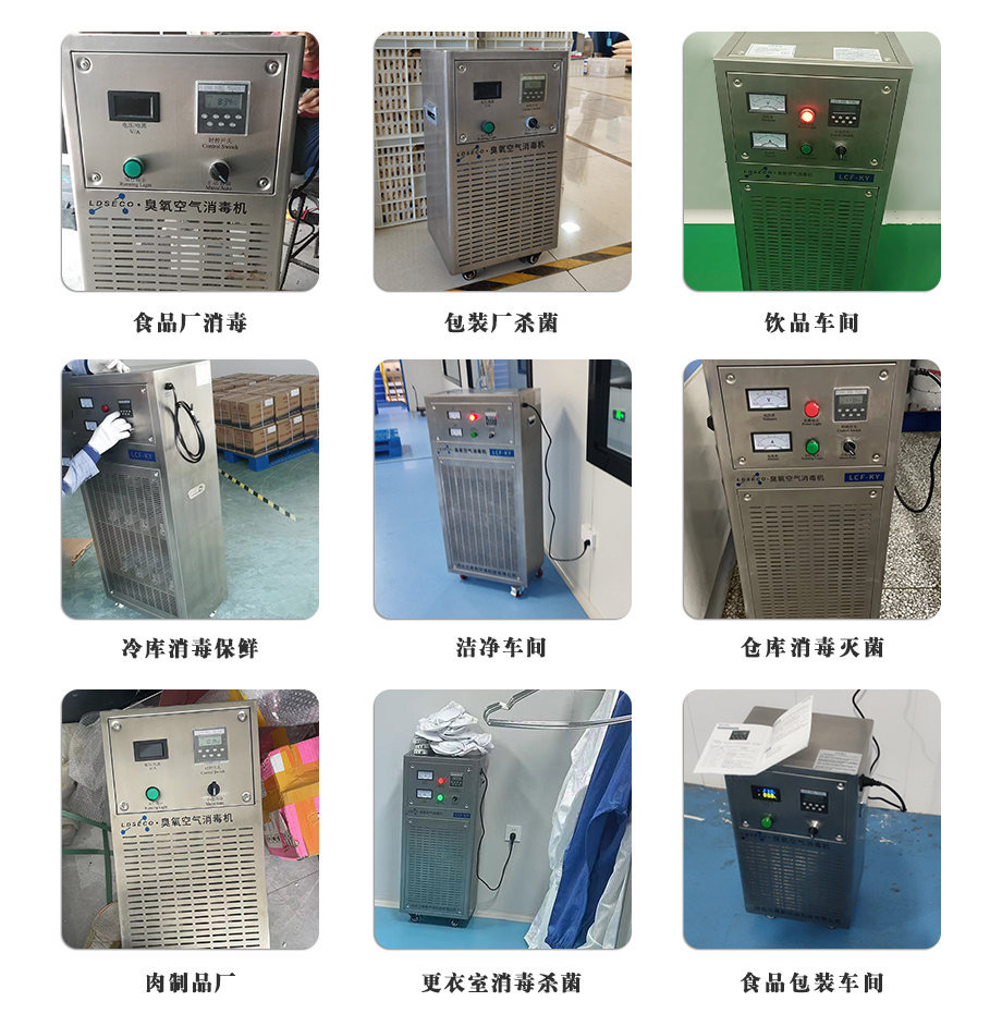 兰蒂斯臭氧发生器食品厂案例